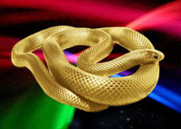 Zmija, snake, serpent, gold, zlato, colors, boje